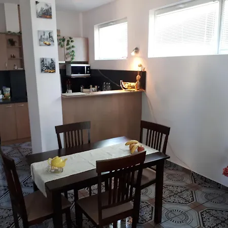 Blue House - синята къща 3* オブゾー