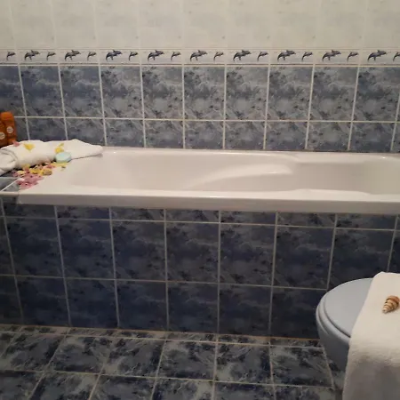 Blue House - синята къща 게스트하우스 오브조르