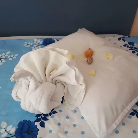 게스트하우스 Blue House - синята къща 오브조르