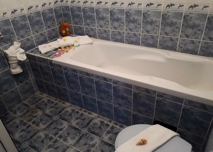 招待所 Blue House - синята къща 奥布佐尔